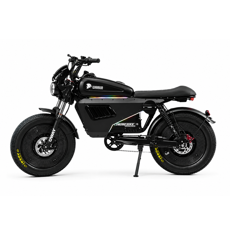 Owav 60V 50AH E-Mountain Bike 3000W Peak Electricle Bike-1