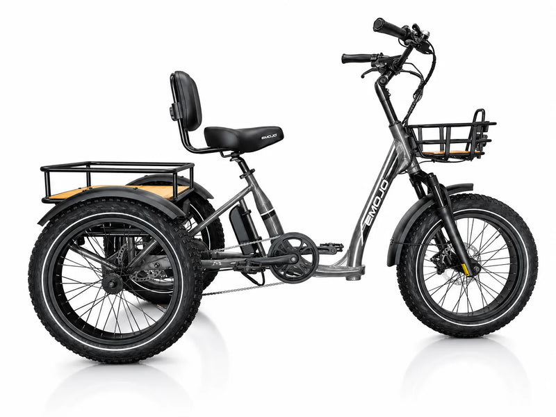 Bull Trail - All-Terrain Electric Trike for Ultimate Adventures-1