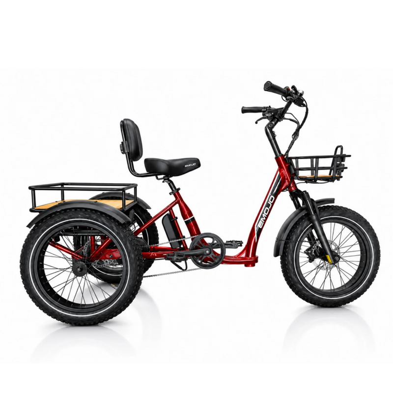 Bull Trail - All-Terrain Electric Trike for Ultimate Adventures-4