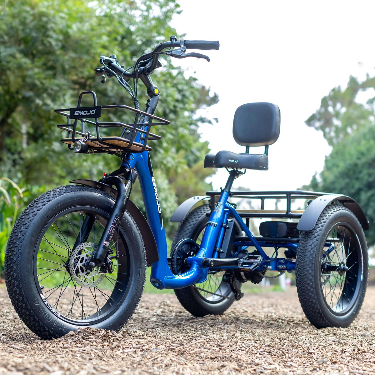 Bull Trail - All-Terrain Electric Trike for Ultimate Adventures-5