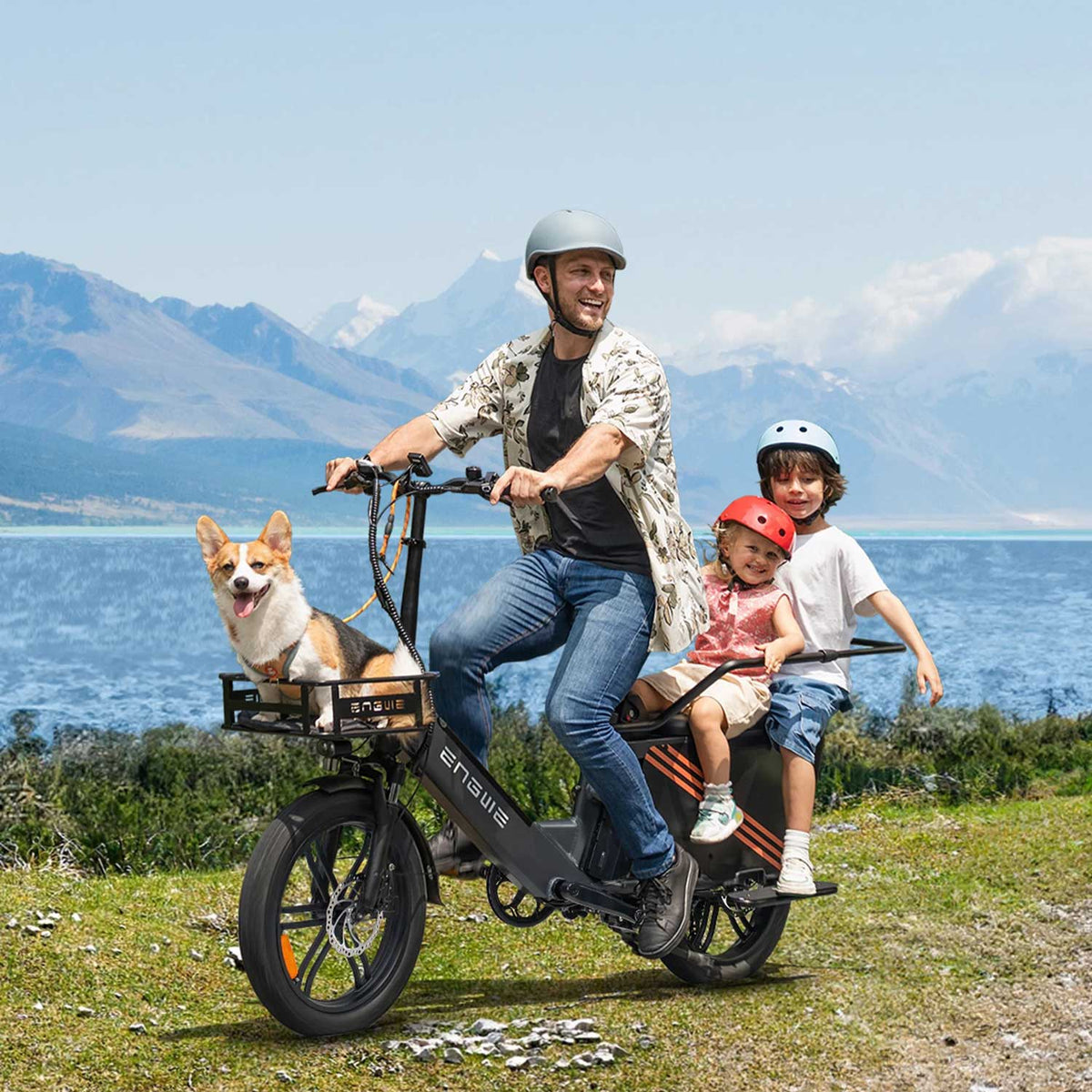 ENGWE LE20 1300W Peak Torque sensor Step-Thru Passenger Ebike - ridemart