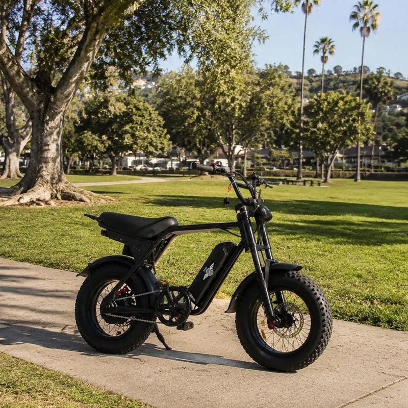 Freego Maxx M3 Class 2 Compact Fat Tire Electric Bike - ridemart