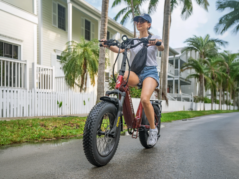 Hynox TROOPER Fat Tire E-Bike-10