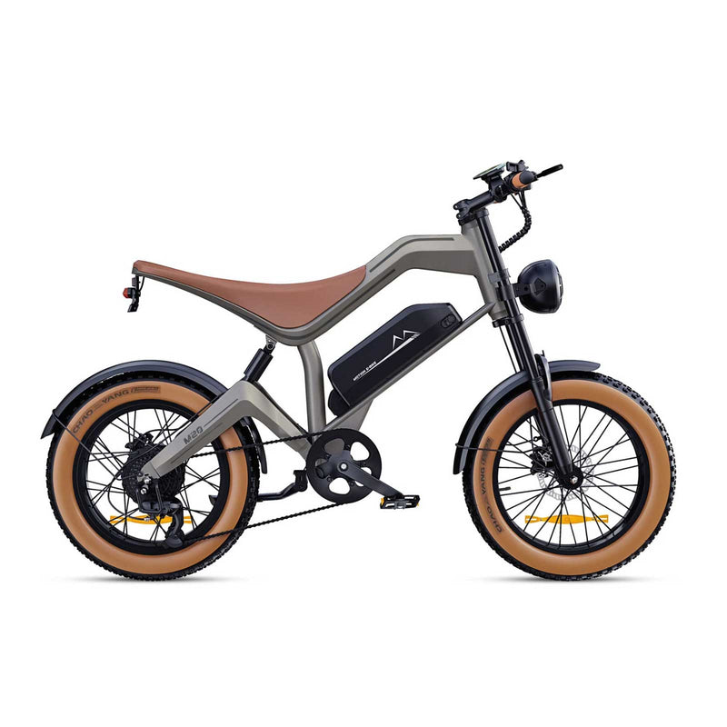 NEW DYU M20 Lite All-Terrain Long-Range Electric Bike-1