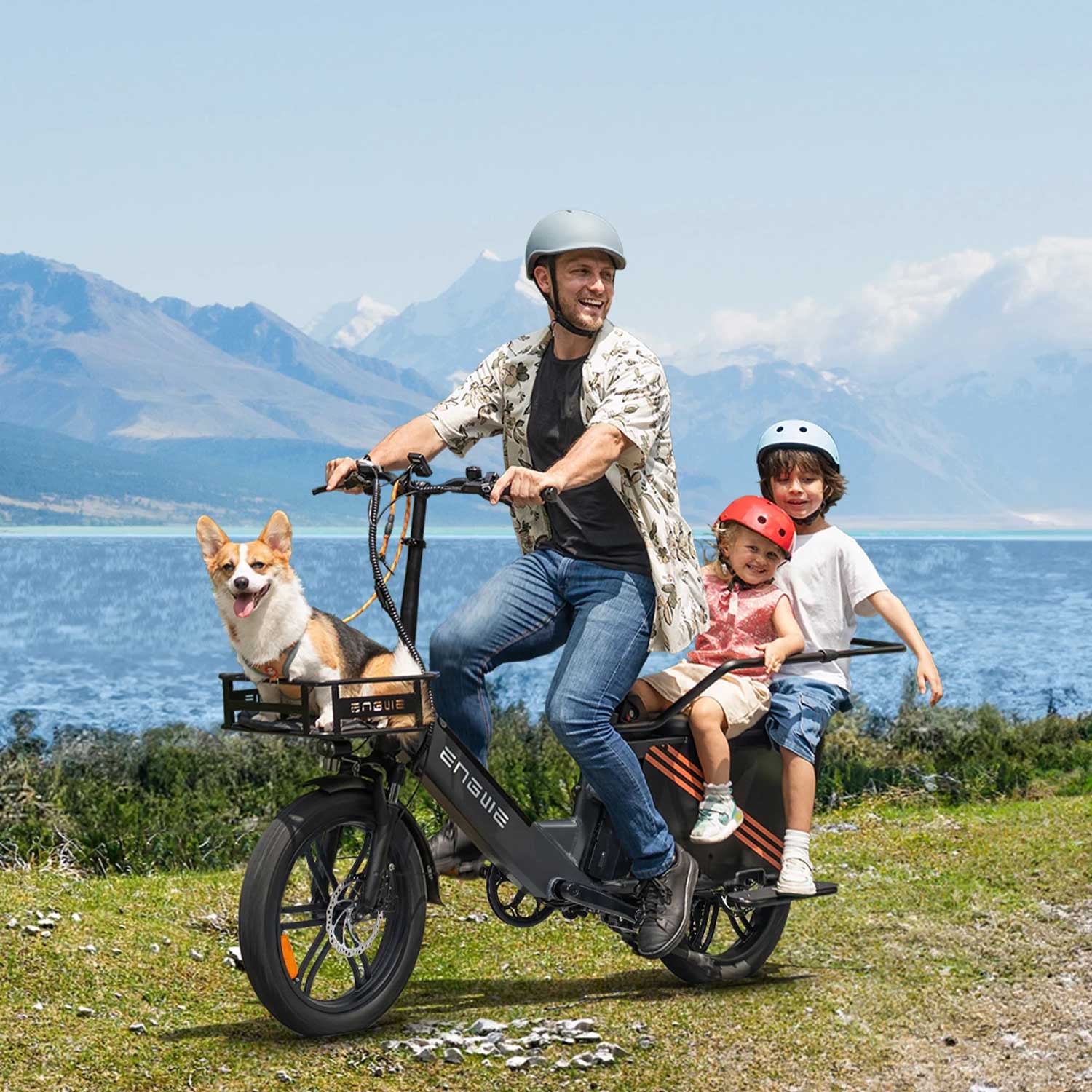 ENGWE LE20 1300W Peak Torque sensor Step-Thru Passenger Ebike-5
