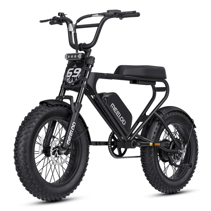 Meelod DK200F Moped-Style Fat Tire Electric Bike for Adults - ridemart