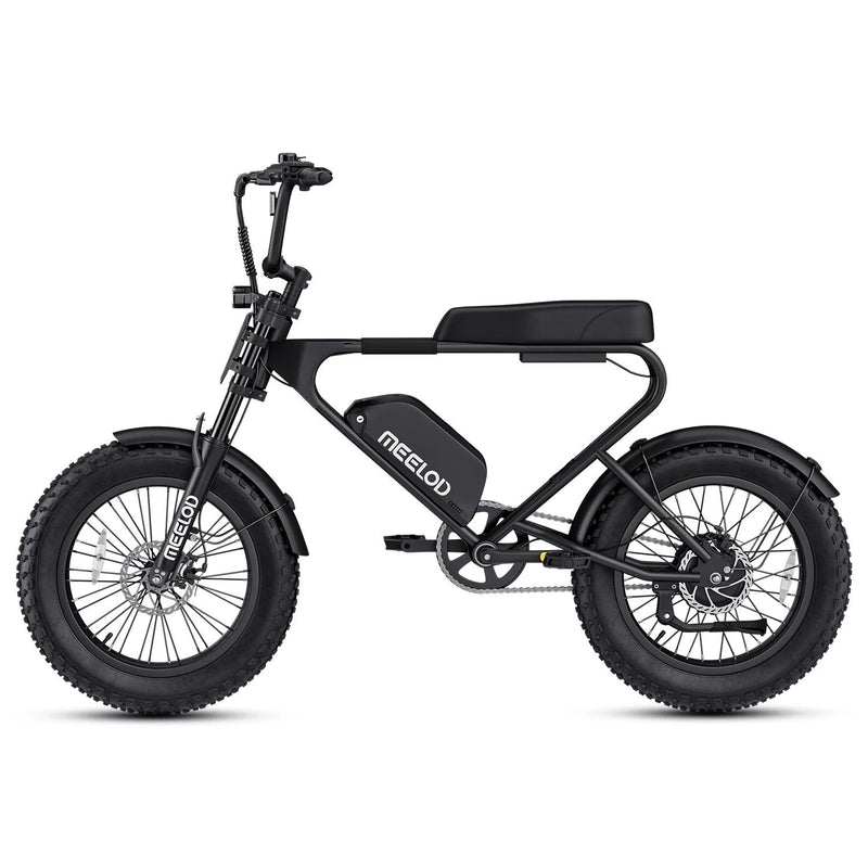 Meelod DK200F Moped-Style Fat Tire Electric Bike for Adults - ridemart