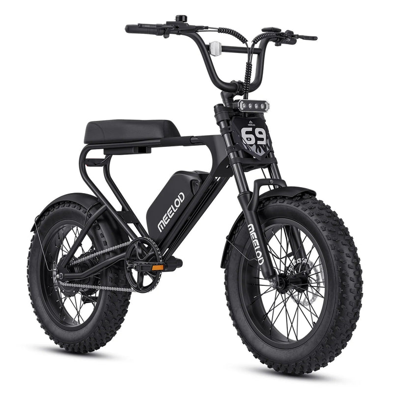 Meelod DK200F Moped-Style Fat Tire Electric Bike for Adults - ridemart