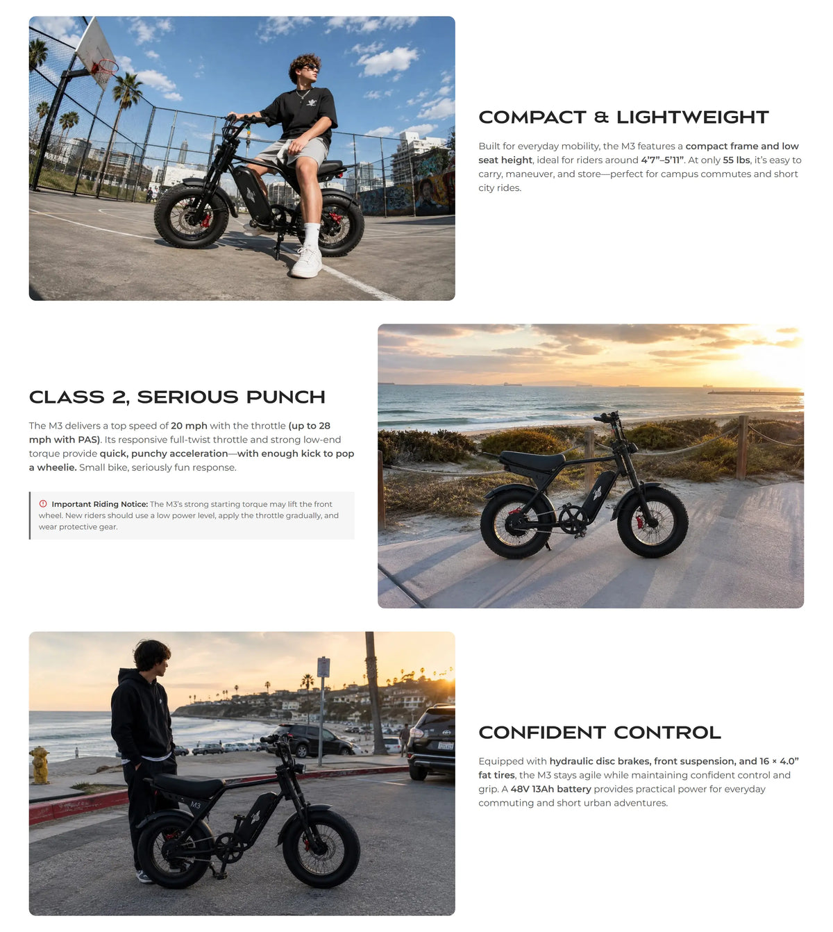 Freego Maxx M3 Class 2 Compact Fat Tire Electric Bike